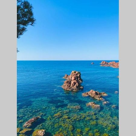 Superbe 4 Couchages Avec Terrasse - Clim - 50M De La Mer Saint-Raphaël Eksteriør bilde