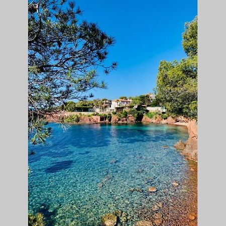Superbe 4 Couchages Avec Terrasse - Clim - 50M De La Mer Saint-Raphaël Eksteriør bilde