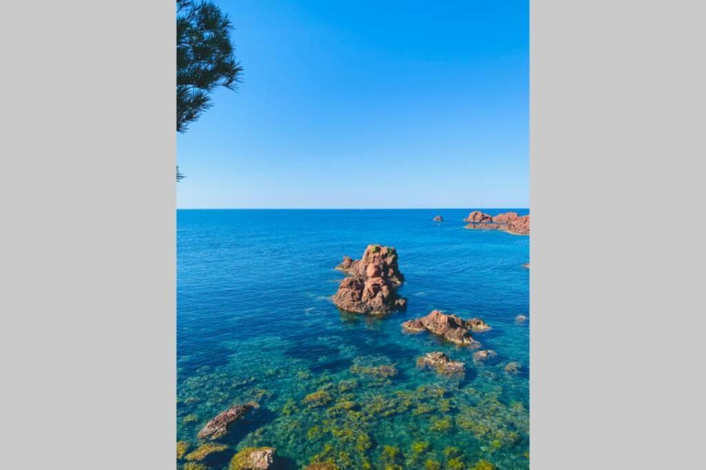Superbe 4 Couchages Avec Terrasse - Clim - 50M De La Mer Saint-Raphaël Eksteriør bilde
