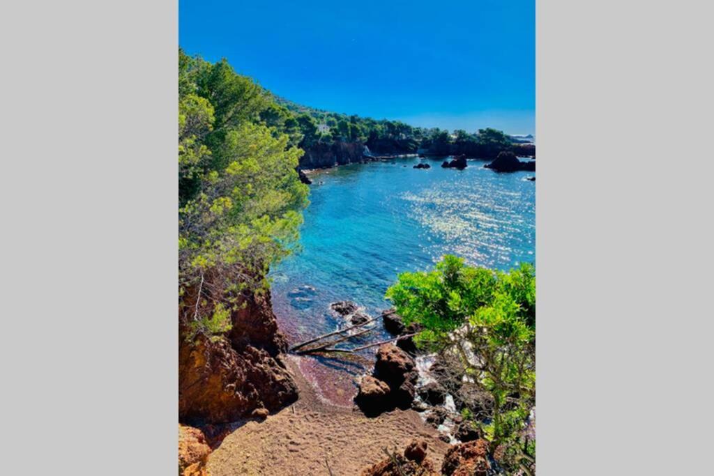 Superbe 4 Couchages Avec Terrasse - Clim - 50M De La Mer Saint-Raphaël Eksteriør bilde