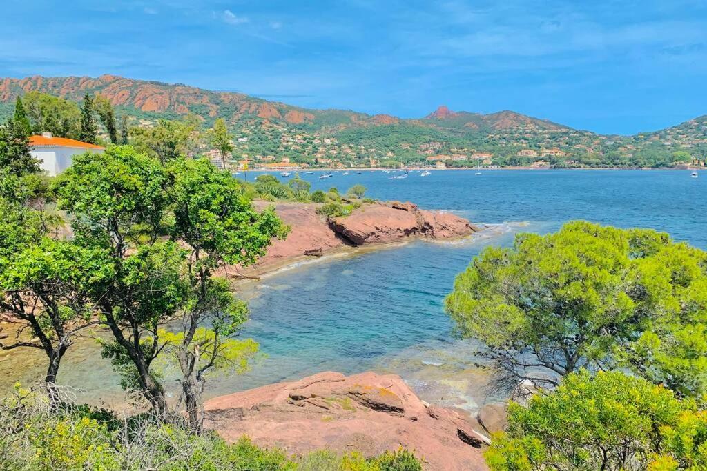 Superbe 4 Couchages Avec Terrasse - Clim - 50M De La Mer Saint-Raphaël Eksteriør bilde