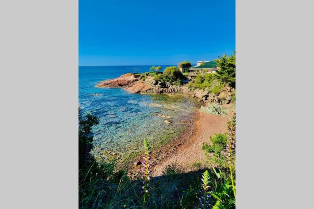 Superbe 4 Couchages Avec Terrasse - Clim - 50M De La Mer Saint-Raphaël Eksteriør bilde